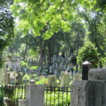 Cluj-Napoca Zentralfriedhof Házsongárd, Unzählige Grabsteine ziehen sich einen sonnenbeschienenen Hügel hoch, dazwischen zahlreiche Bäume und Büsche.