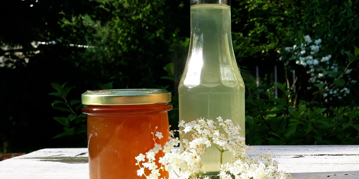 in Glas Holunderblütengelee, eine kleine Flasche Sirup und eine Holunderblütendole liegen und stehen auf einer hellen Oberfläche. Im Hintergrund befindet sich Buschwerk.