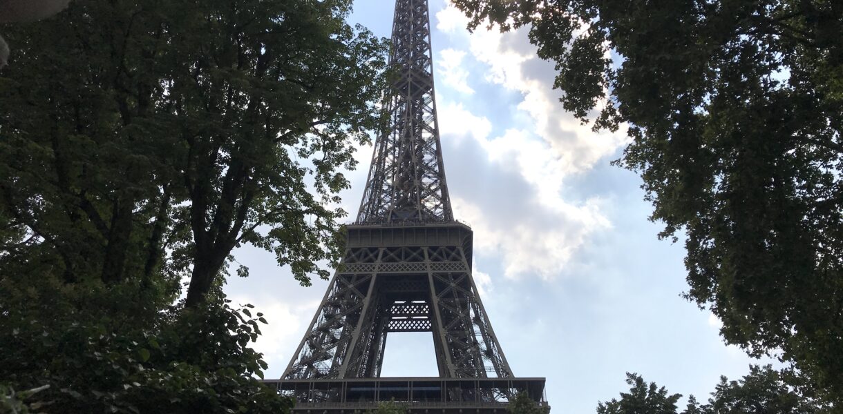 Blick auf den Eiffelturm durch dichte Baumkronen
