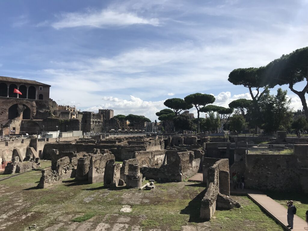 Blick auf das Forum Romanum unter blauem Himmel mit Pinien im Hintergrund