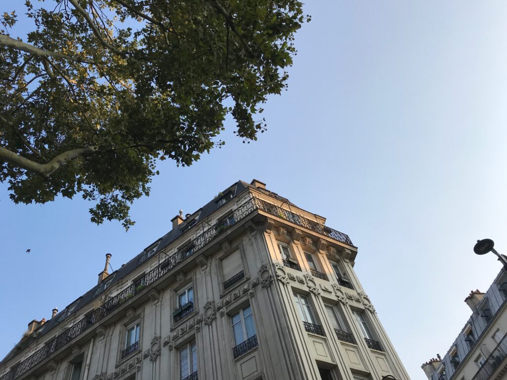 Blauer HImmel, davor grüne Äste eines Baumes und ein typisches Pariser Altbaugebäude