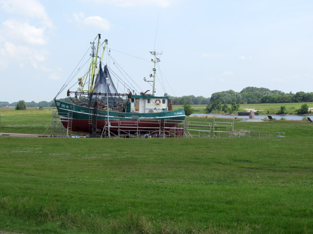  Ein Fischerboot an Land, das restauriert wird, steht auf einer grünen Wiese. Im Hintergrund sind Wasser und blauer Himmel zu sehen.