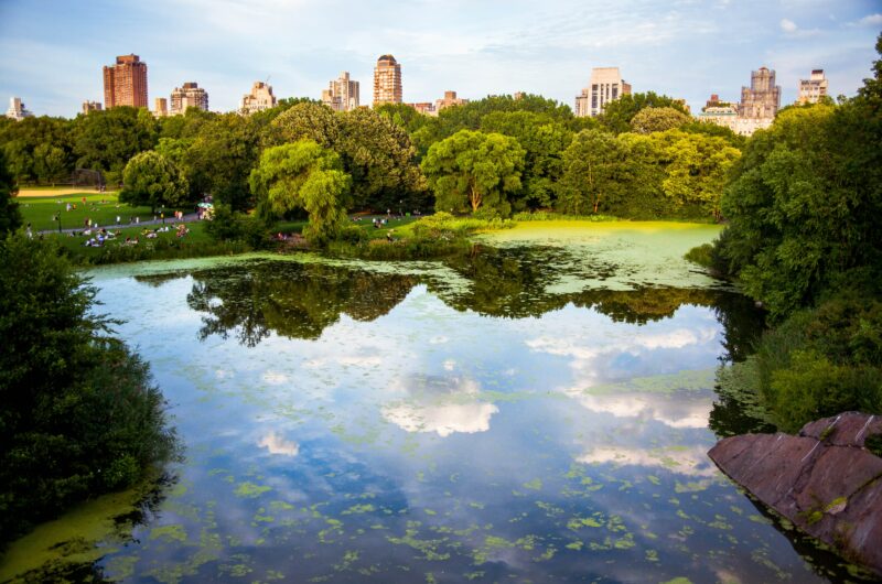 An einem schönen sonnigen Tag verbringen Menschen ihre Freizeit auf der Wiese im Central Park.