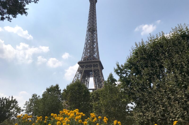 Der Eiffelturm vor blauem Himmel - im Vordergrund Bäume und gelbe Blumen