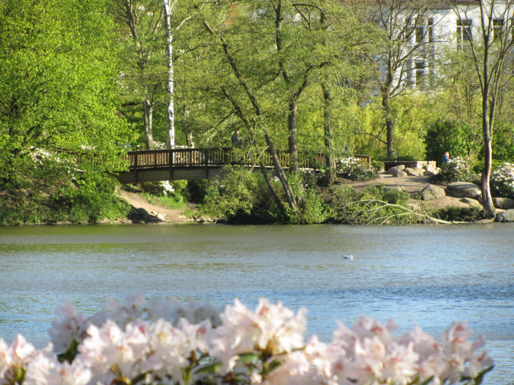 Eine Brücke führt über den Kieler Schreventeich im Schrevenpark. Im Hintergrund sind grüne Büsche.