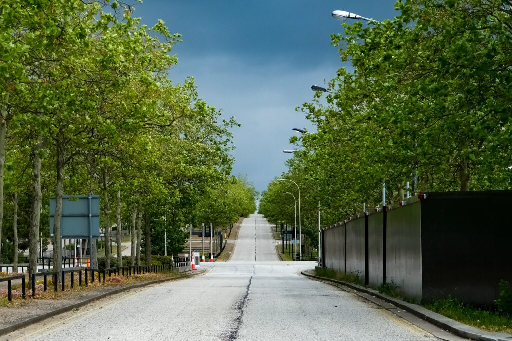 Eine verlassene Straße mit Bäumen auf beiden Seiten