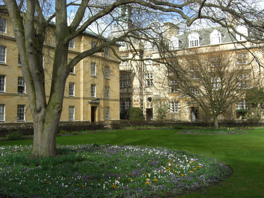 Ein Baum im Frühling vor ein paar Altbauten in Cambridge